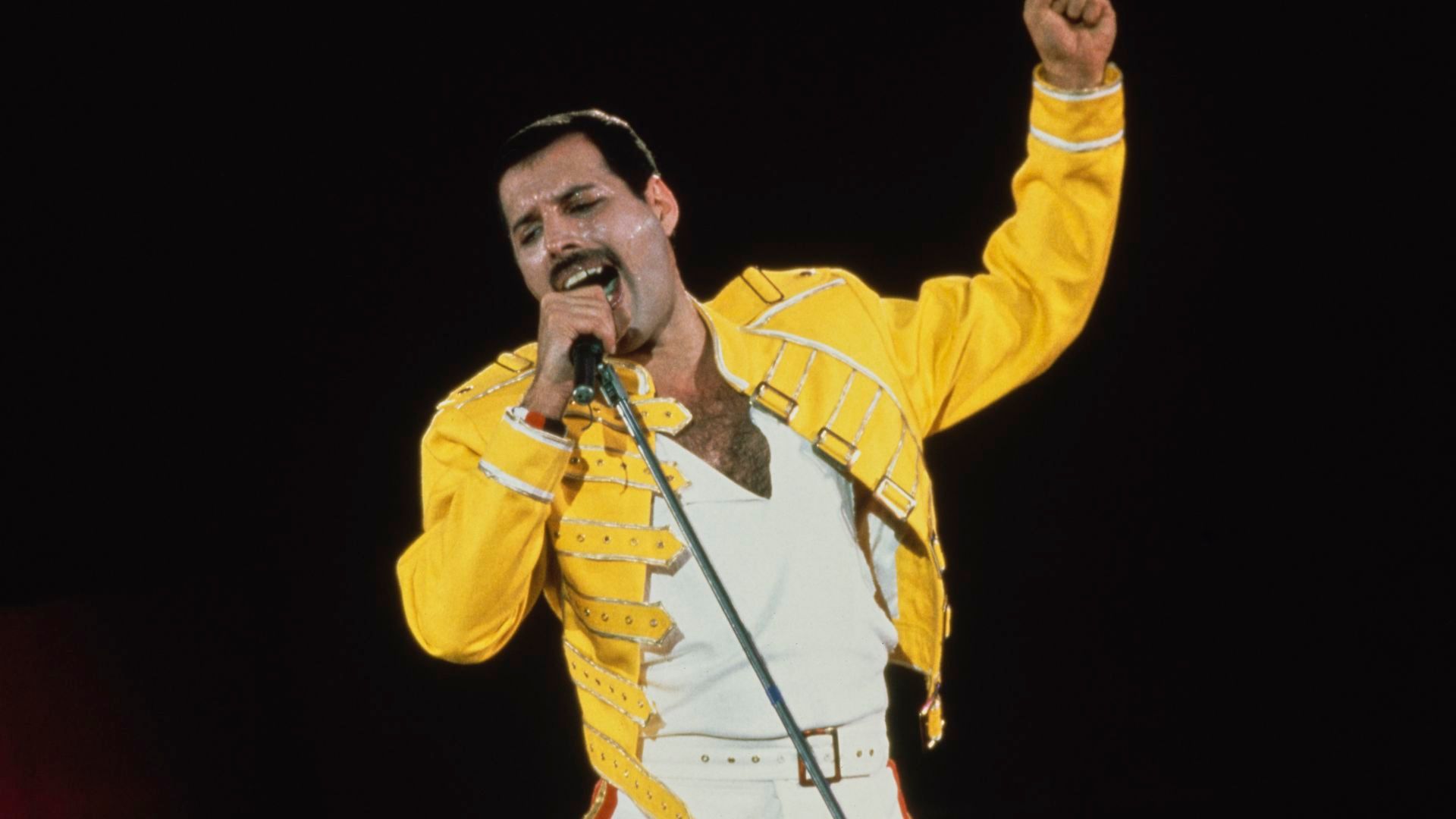 Freddie Mercury