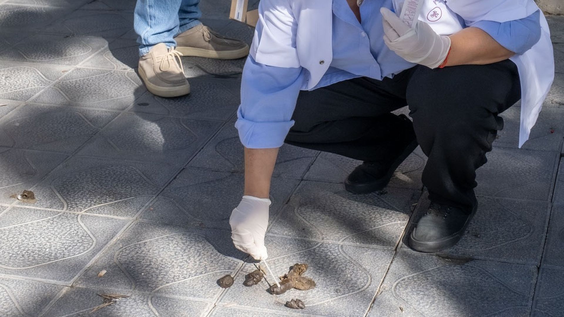 Recogida de muestras de excrementos de perro Recogida de muestras de excrementos de perro