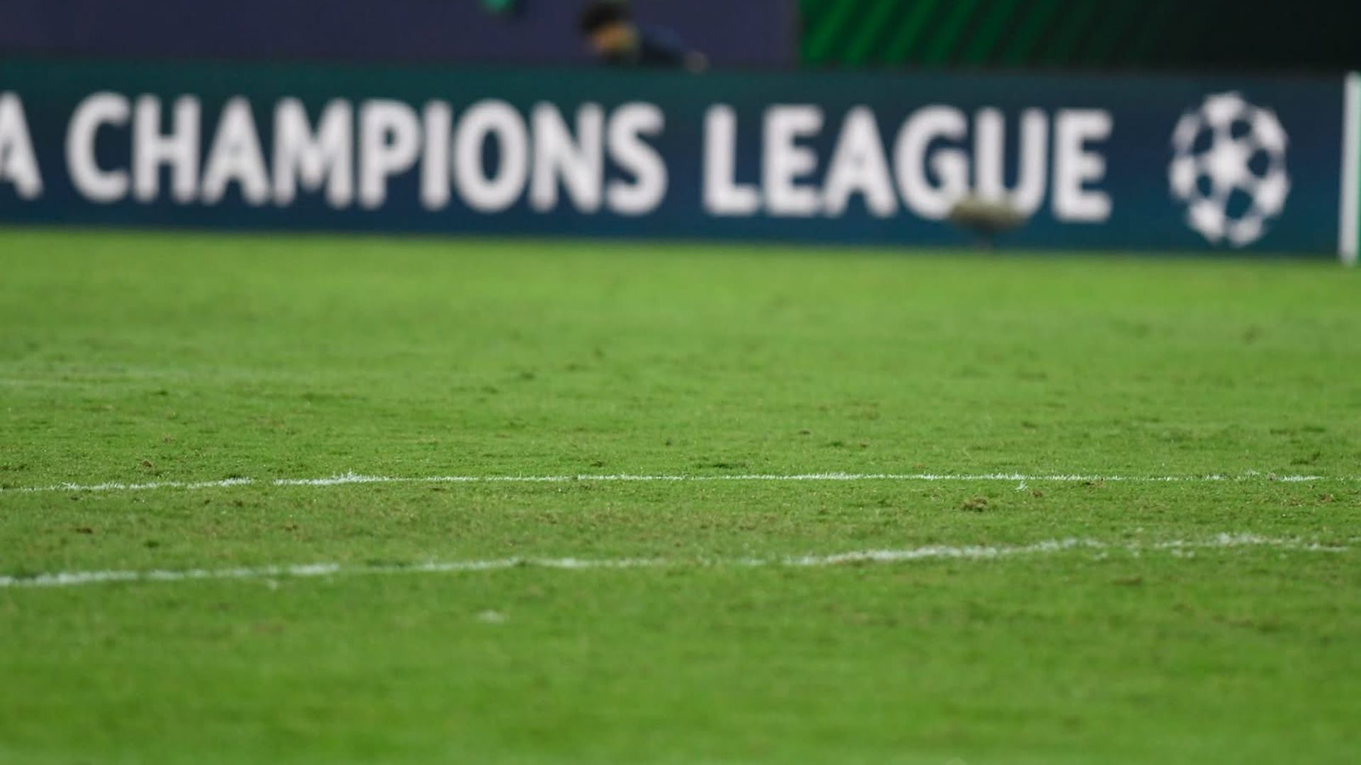 El césped de La Cartuja en el Betis-Feyenoord