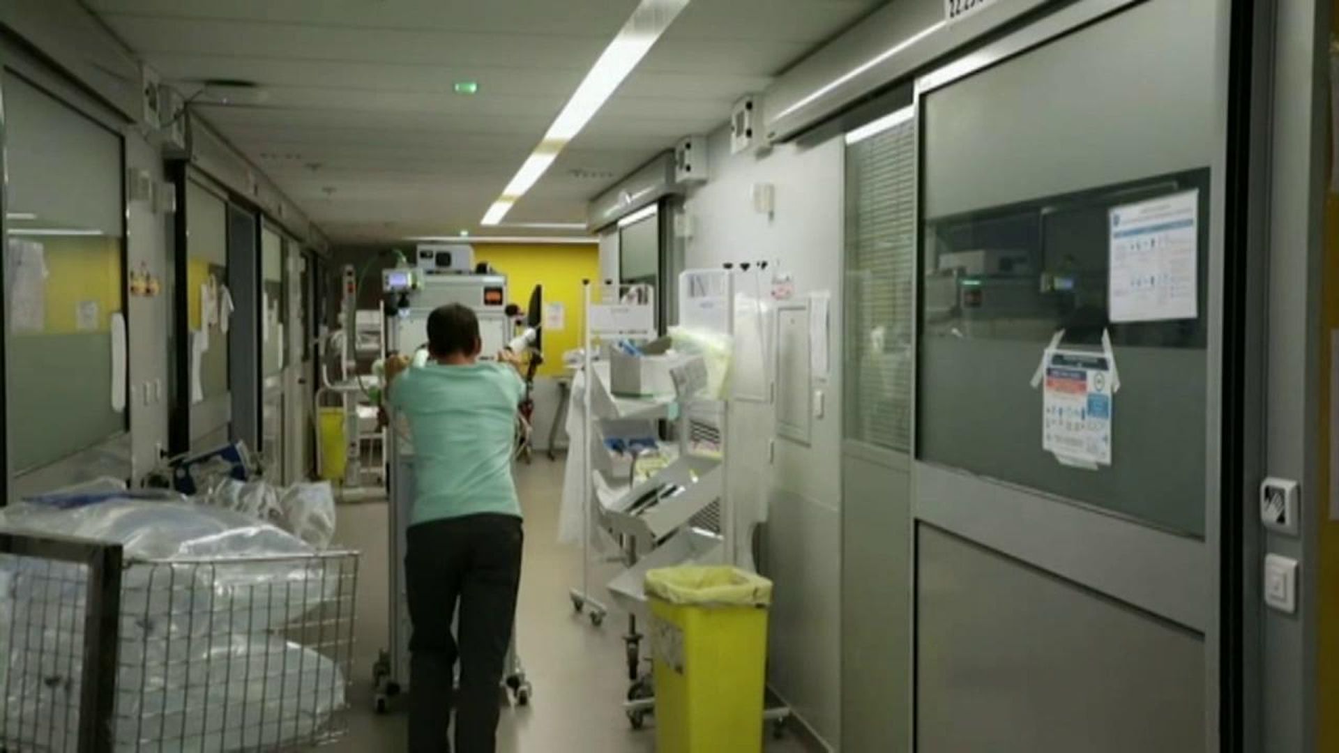 El virus shamonda infecta por primera vez a un humano: muere un hombre en Francia a pesar de que se le consideraba intransmisible