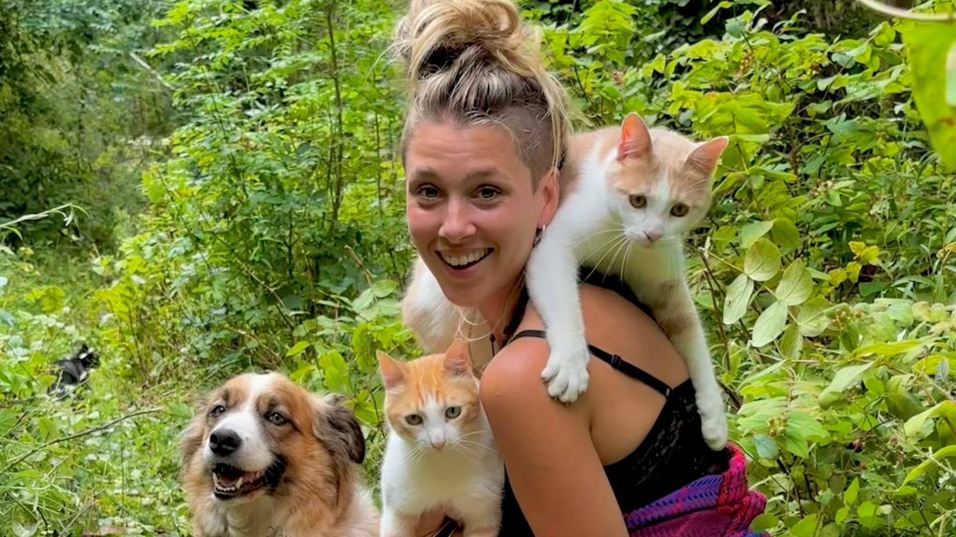 Jone se dedica a rescatar gatitos bebé para luego darlos en adopción Jone se dedica a rescatar gatitos bebé para luego darlos en adopción