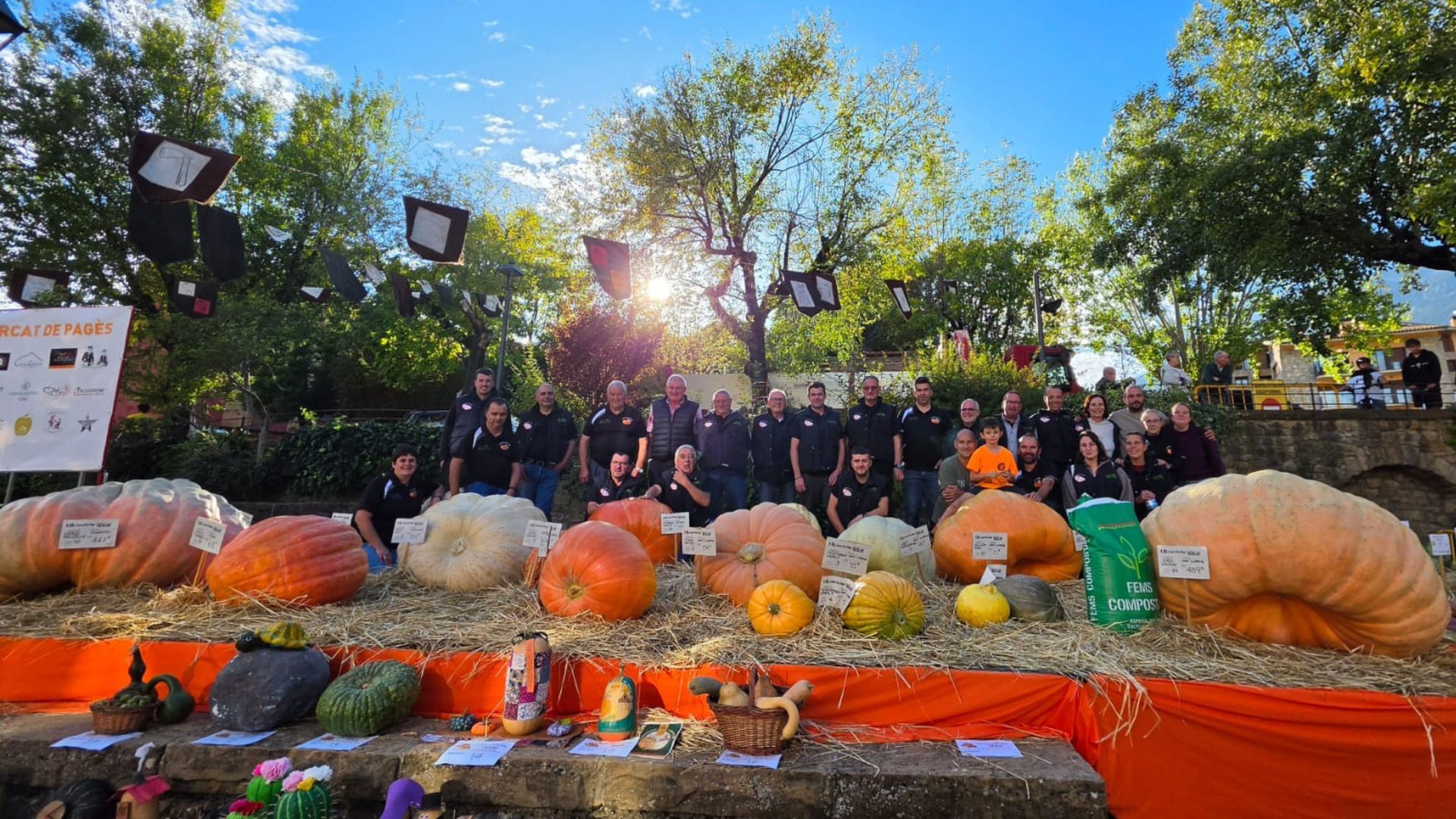 Un concurso de calabazas gigantes