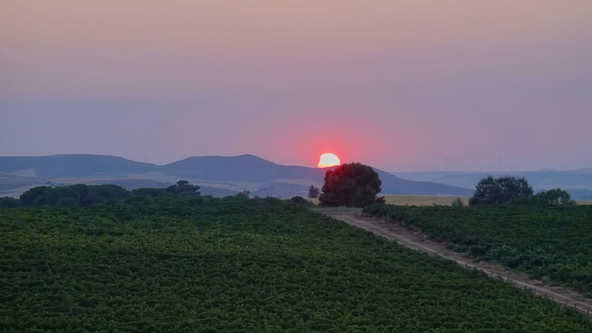 Una llanura burgalesa implacable donde el cielo no termina