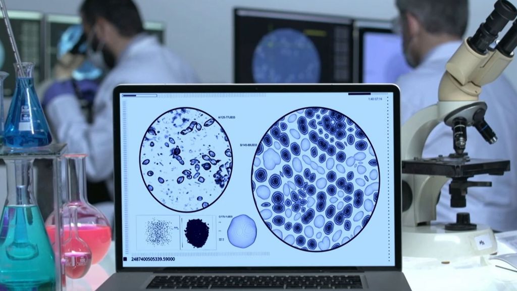El primer humano infectado por el virus Shamonda abre nuevas interrogantes entre los investigadores