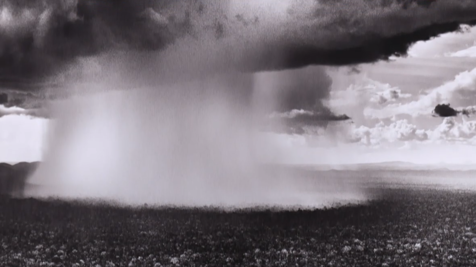 Fotografía de Sebastião Salgado