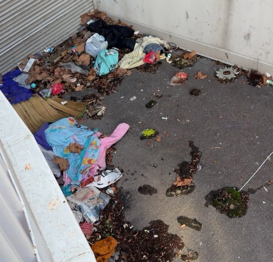 "Los vecinos llevan años aguantando esto", denuncia el grupo municipal popular
